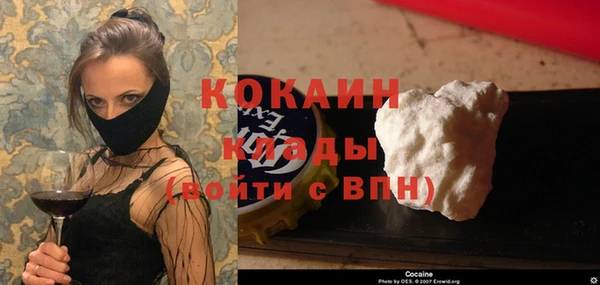 шишки Армянск