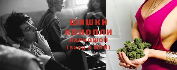 spice Арсеньев