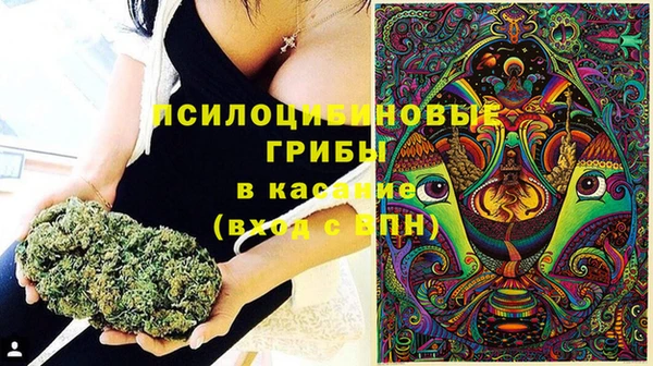 шишки Армянск