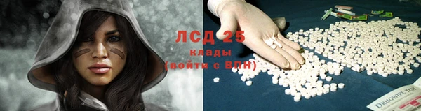 шишки Армянск