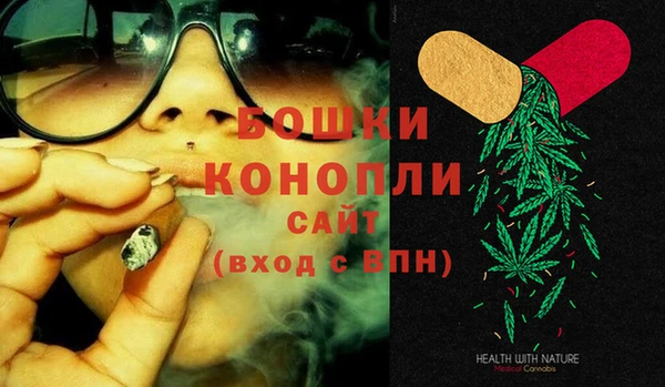 spice Арсеньев