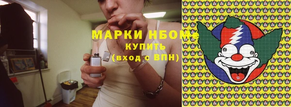 шишки Армянск