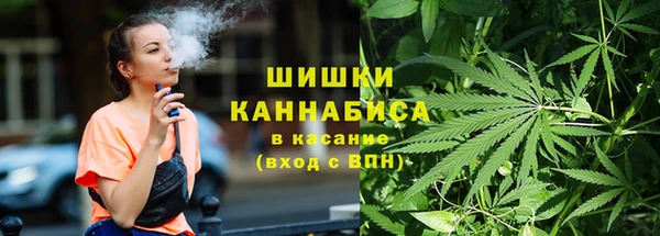 spice Арсеньев