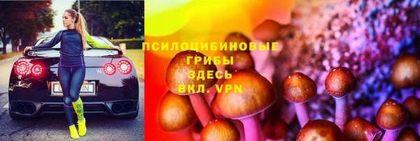 шишки Армянск