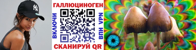 Псилоцибиновые грибы Cubensis  Гуково 